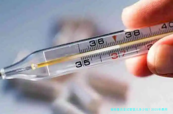 做格鲁吉亚试管婴儿多少钱?2025年费用明细与避坑指南