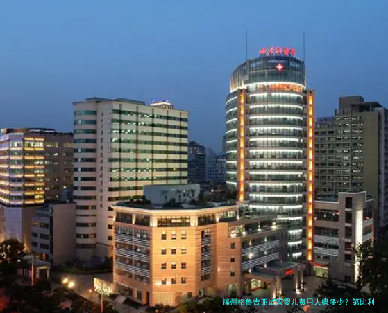 福州格鲁吉亚试管婴儿费用大概多少?第比利斯医疗、机票住宿一笔笔算