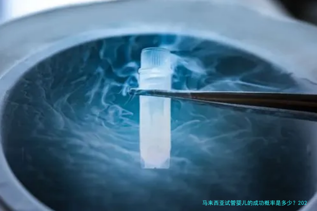 马来西亚试管婴儿的成功概率是多少?2025年真实数据与影响因素解析