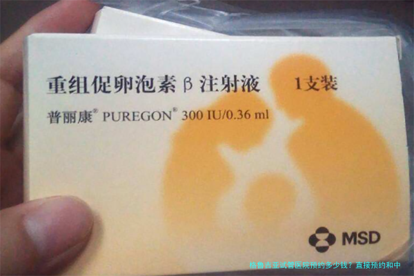 格鲁吉亚试管医院预约多少钱?直接预约和中介费用差在哪