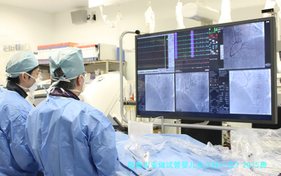格鲁吉亚做试管婴儿多少钱一次?2025费用明细和避坑提醒