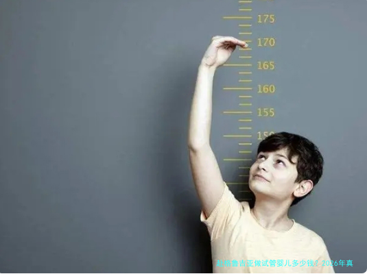 赴格鲁吉亚做试管婴儿多少钱?2026年真实费用清单与避坑心得
