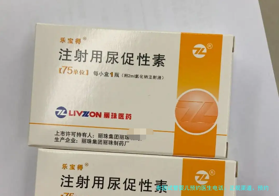 泰国试管婴儿预约医生电话:正规渠道、预约流程和避坑指南