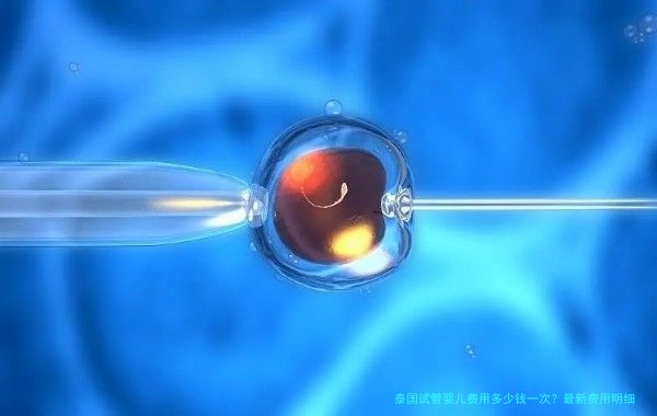 泰国试管婴儿费用多少钱一次?最新费用明细与避坑指南