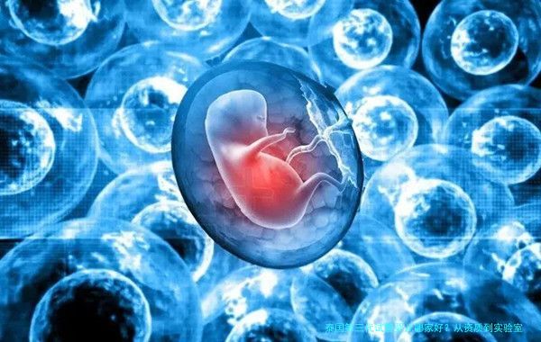 泰国第三代试管婴儿哪家好?从资质到实验室细节的实用选择指南